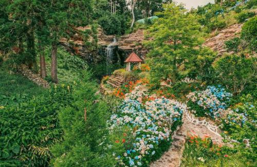 Santa Cruz das Flores House | Flores Garden Retreat