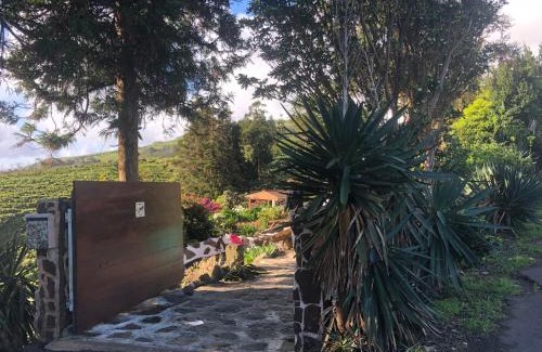 Santa Cruz das Flores House | Flores Garden Retreat