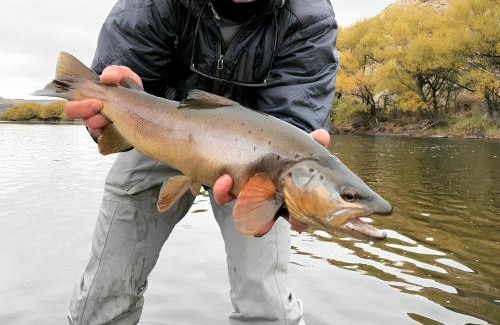 Junin de los Andes Ski Chalet | Fly Fishing Cabin, Great Views
