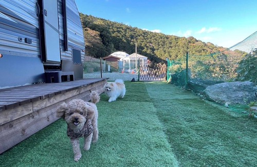 Futo Cabin | For 2 people Dogs allowed Dome tent 6mE traile/Ito Shizuoka