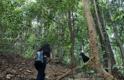 Morong Apartment | FOREST and OCEAN Nest with Self-Service Breakfast - AC, Monkeys, Pet Friendly with a Fee