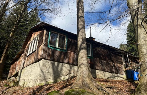 Lucany nad Nisou Cabin | Forest cabin in Lučany nad Nisou