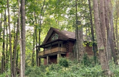 Traphill House | Forest Cabin Minutes from Stone Mountain, NC