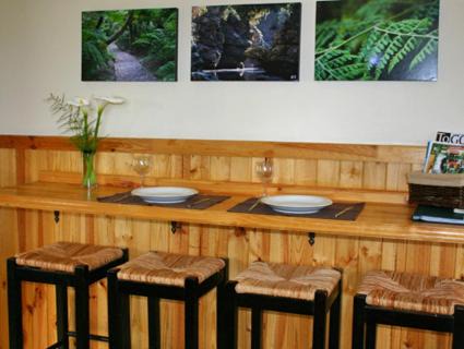 Rheenendal House | Forest Edge