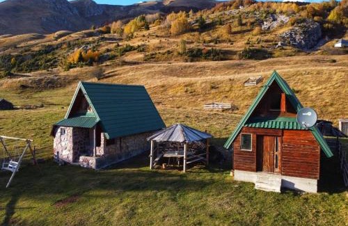 Montenegro Apartment | Forest fruit Jelovica