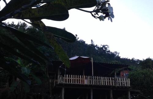 Samoeng Resort | Forest Guesthouse