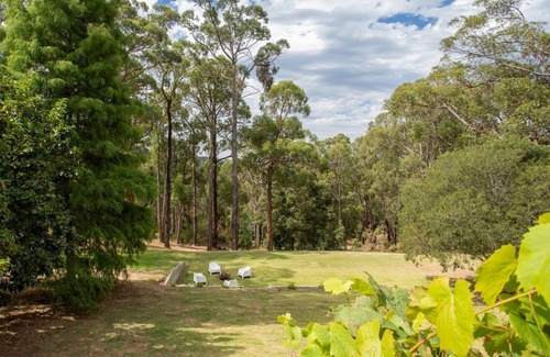 Red Hill South House | Forest Hideaway ~Discover the charm of Red Hill South in this beautifully upgraded single-level home