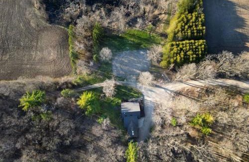 Puslinch House | Forest Hideaway