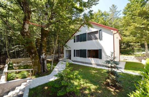 Cetinje House | Forest house