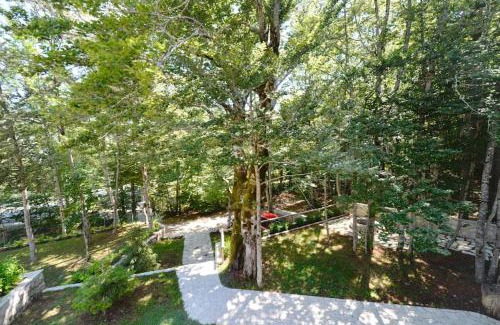 Cetinje House | Forest house