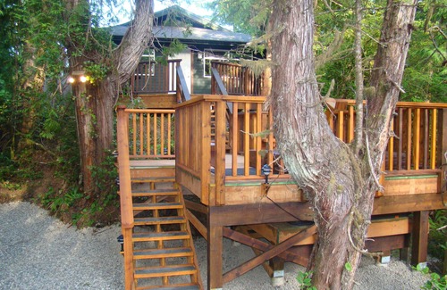 Tofino Cabin | Forest View Cabin located across from Cox Bay Beach