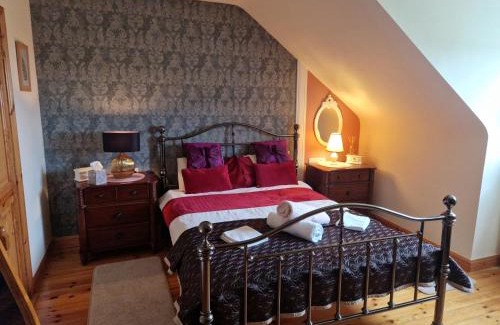 Connacht Bed & Breakfast | Forest View Dunmore Galway H54P897