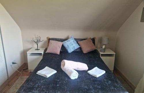 Connacht Bed & Breakfast | Forest View Dunmore Galway H54P897