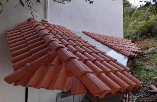 Seta Villa | Forest View House Seta