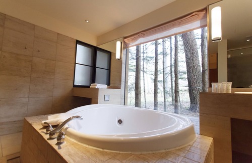 Fujikawaguchiko Resort | Forest Village