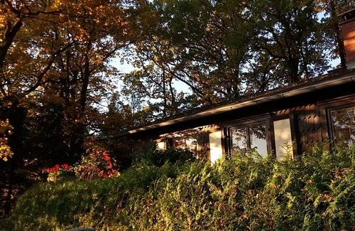 Kirchberg Cabin | Forest, water, stone, "small Canada" in the middle of Saxony.
