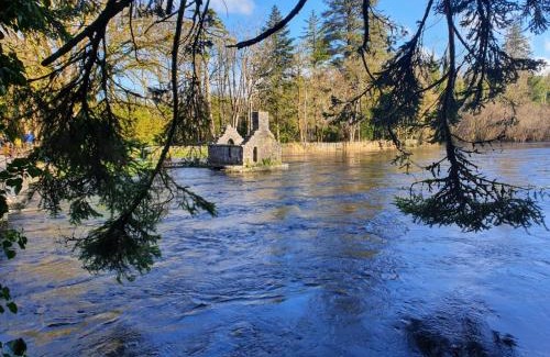 Cong House | Foxs Farmhouse