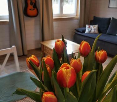 Szczytna Ski Chalet | FreeDom House