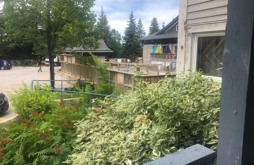 Craigleith Apartment | Freshly Upgraded Cozy Studio