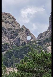 Levie Apartment | Fresi Gustave