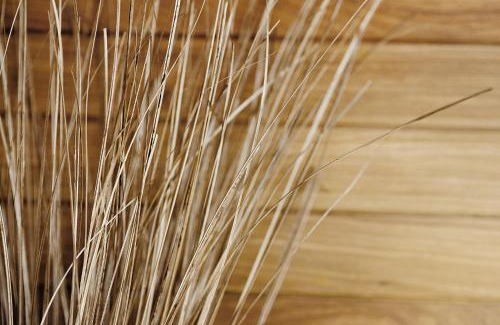 Trou d'Eau Douce Resort | Friday Attitude