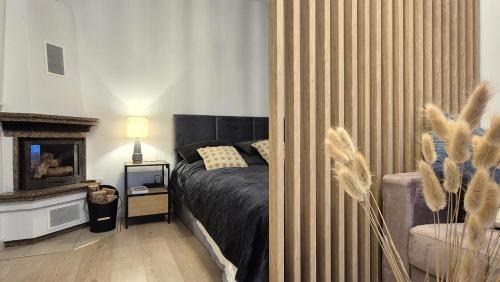 Old Town Apartment | Friedrich Markt Apartment