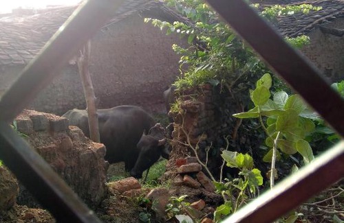 Khajuraho House | Friends in Khajuraho