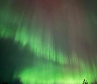 Rovaniemi Apartment | Frosty Brook Cottage Hosted by Hygge Host