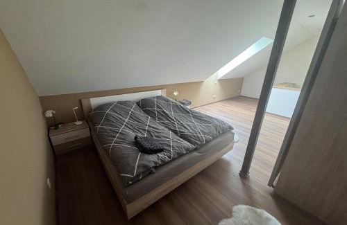 Fulda House | Fuldaer Residenz