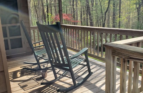 Dyke Cabin | Fully equipped, romantic cabin for 2 in the Blue Ridge Mountains n