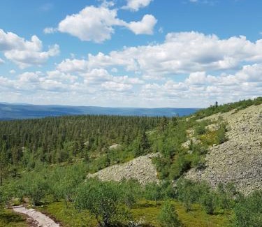 Ljordal House | Fulufjellet cabins
