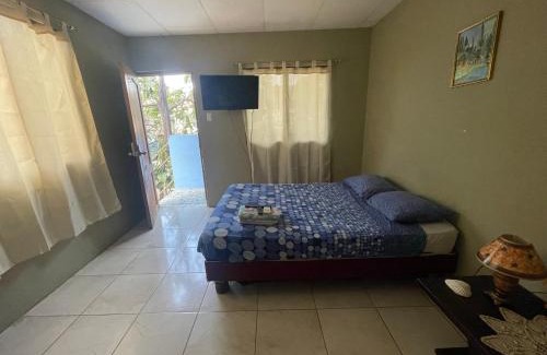 Simon Bolivar House | Funky Monkey