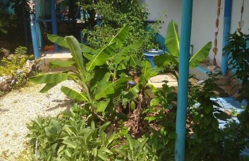 Kendwa Bed & Breakfast | Furaha Rena -Kendwa