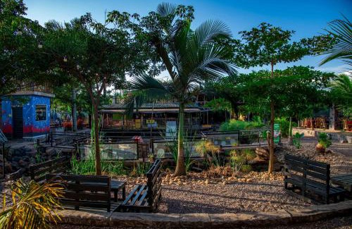 Kireka Resort | Fusion Eco Resort and Auto Spa