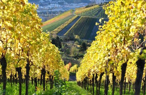 Lindenschulviertel Hotel | Gästehaus abz Stuttgart