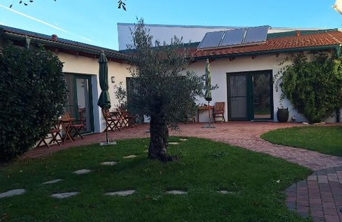 Purbach am Neusiedlersee House | Gästehaus Samira