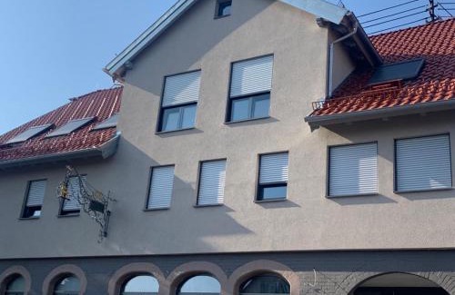 Schwann Apartment | Gästehaus Hirsch 93