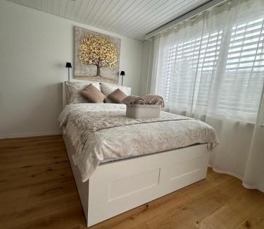 Schonenwerd Apartment | Gästehaus MaryVitty, zentrale zwischen Aarau und Olten, gut verbunden