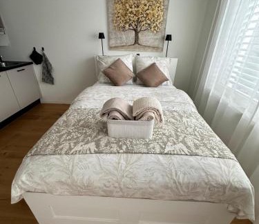 Schonenwerd Apartment | Gästehaus MaryVitty, zentrale zwischen Aarau und Olten, gut verbunden