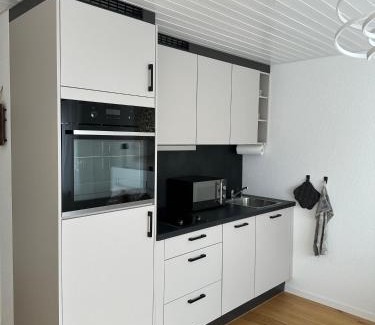 Schonenwerd Apartment | Gästehaus MaryVitty, zentrale zwischen Aarau und Olten, gut verbunden