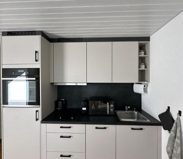 Schonenwerd Apartment | Gästehaus MaryVitty, zentrale zwischen Aarau und Olten, gut verbunden