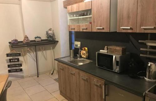 Flines-les-Mortagne Apartment | Gîte charmant avec climatisation, parking et terrasse privée près de Saint-Amand-les-Eaux - FR-1-510-147