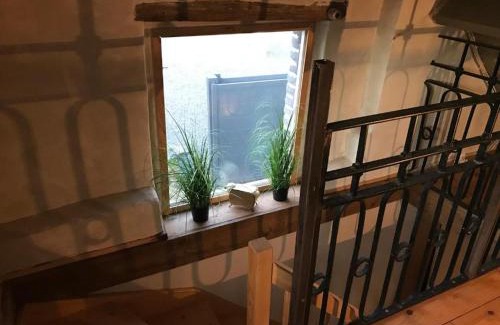 Flines-les-Mortagne Apartment | Gîte charmant avec climatisation, parking et terrasse privée près de Saint-Amand-les-Eaux - FR-1-510-147