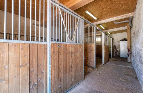 Roches-Premarie-Andille House | Gîte dans un domaine équestre