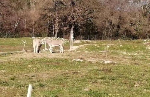 Bagnols-en-Foret House | Gîte de charme avec piscine privative