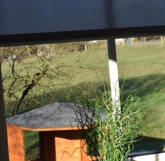 Sainte-Ode Apartment | Gîte du cheval blanc