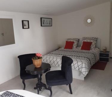 Beaulieu-les-Loches Apartment | gîte " jardin peyrona" visite zoo beauval et châteaux de Loire