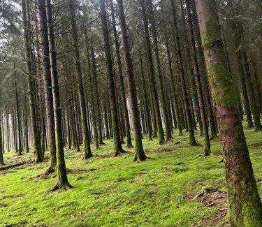 Bievre House | Gîte L'escapade