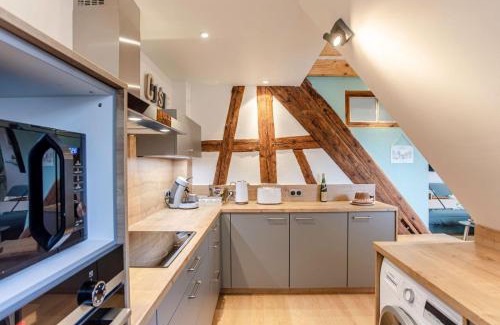 Rodern Apartment | Gîte La Rodernelle - Sauna - Patio - Climatisation - Vue sur Château du Haut Kœnigsbourg