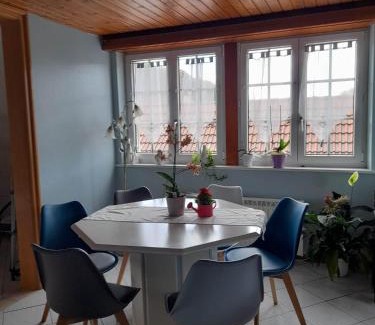 Mutzig Apartment | Gîte Le Jardin de Hermolsheim. Alsace très spacieux